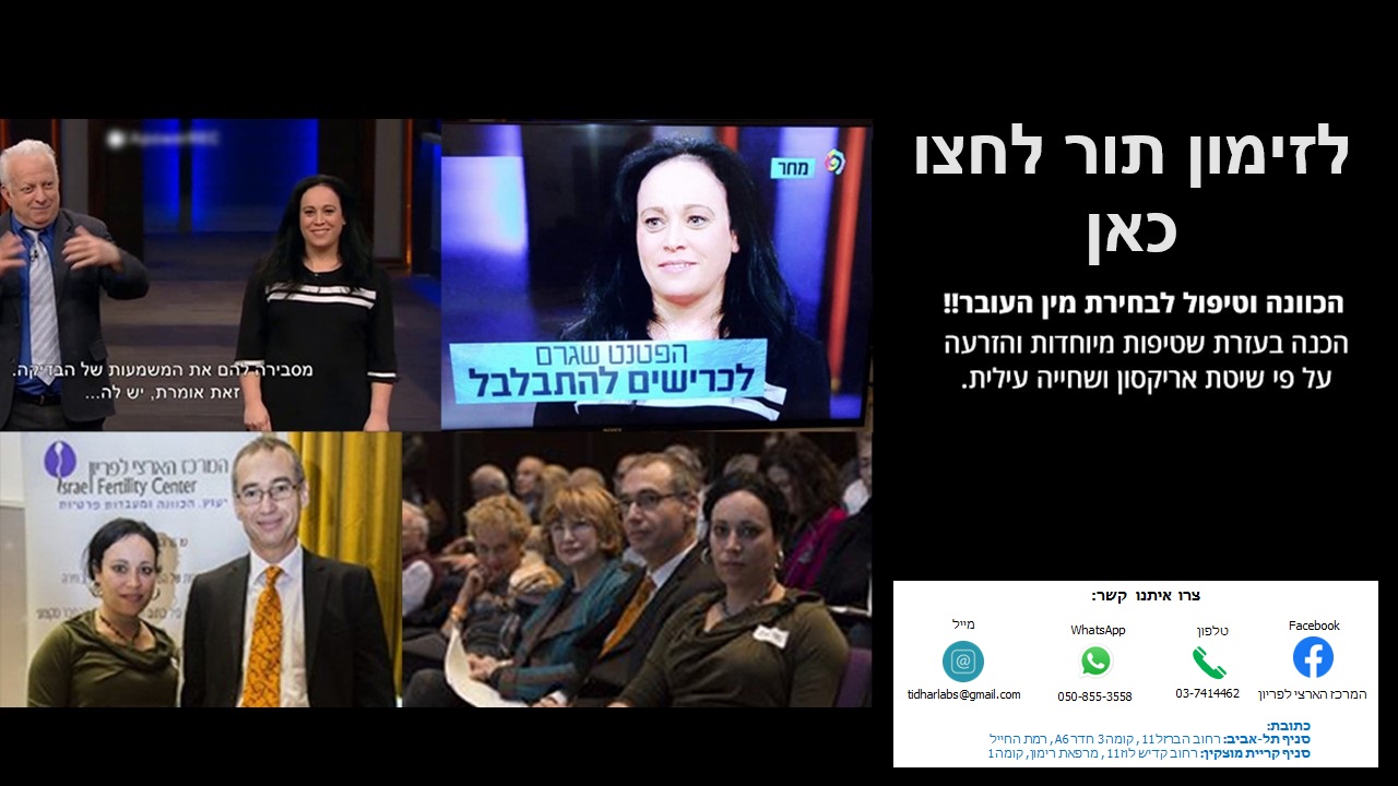 מצגת